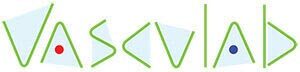 Logo vasculab privatna-lekarska ordinacija